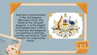 Australia's national animal
is the red kangaroo
(Macropus rufus). Also
known as the red giant
kangaroo, it is the biggest
land mammal that's native
to Australia. Red kangaroos
are plentiful in Australia,
and they are listed as “least
concern” for conservation
status.
 