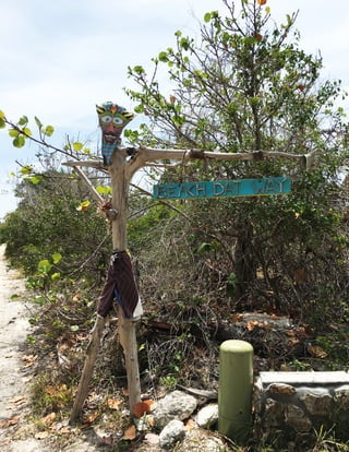 Travel guide green turtle cay