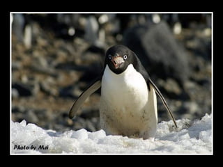 一口接一口 , 好過癮 . 太 