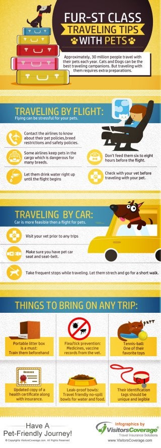 Travel Tips for Travelers Traveling with Pets