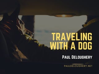 Paul Deloughery on Traveling With a Dog