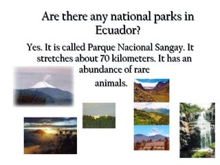 Are there any national parks in Ecuador? Yes. It is called Parque Nacional Sangay. It stretches about 70 kilometers. It has an abundance of rare animals. 