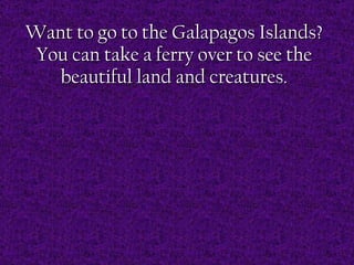 Want to go to the Galapagos Islands? You can take a ferry over to see the beautiful land and creatures. 