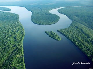 Brazil -Amazonia