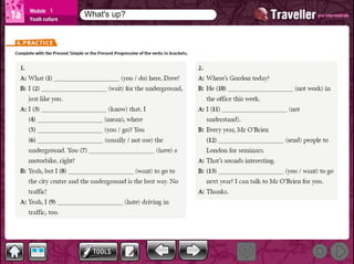 Traveller pre-intermediate_M01