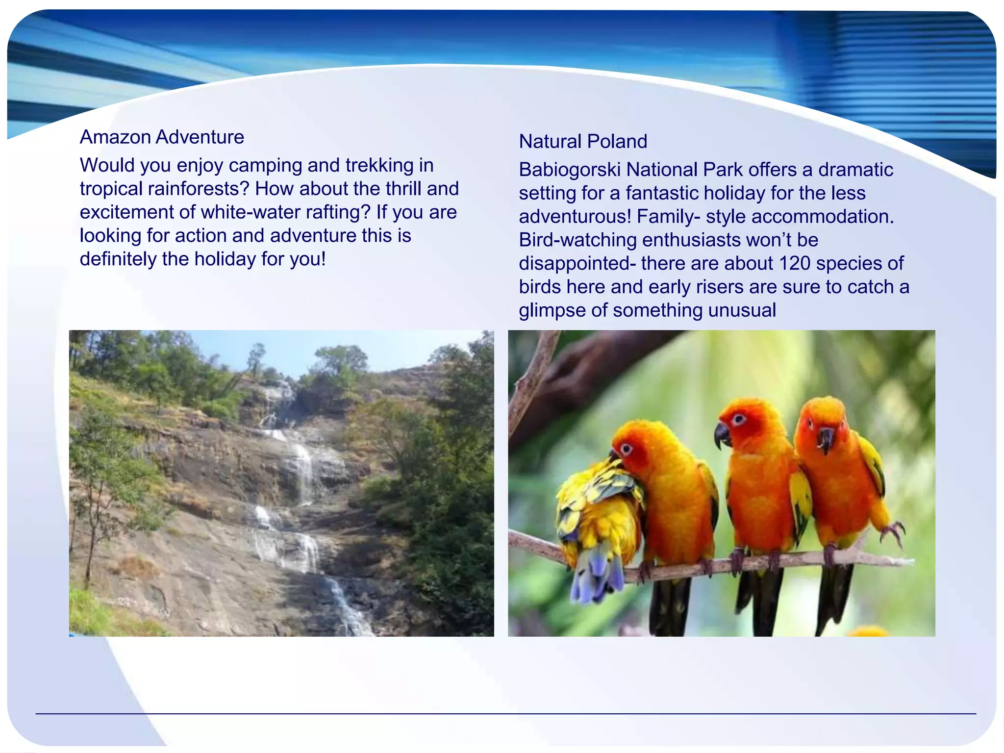 Amazon Adventure
Would you enjoy camping and trekking in
tropical rainforests? How about the thrill and
excitement of white-water rafting? If you are
looking for action and adventure this is
definitely the holiday for you!
Natural Poland
Babiogorski National Park offers a dramatic
setting for a fantastic holiday for the less
adventurous! Family- style accommodation.
Bird-watching enthusiasts won’t be
disappointed- there are about 120 species of
birds here and early risers are sure to catch a
glimpse of something unusual
 