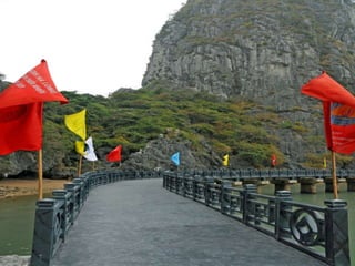 Ha Long Bay Tour