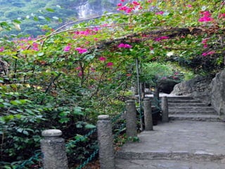 Ha Long Bay Tour