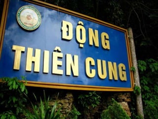 Ha Long Bay Tour