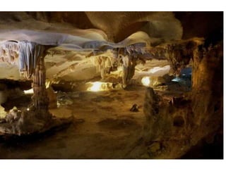 Ha Long Bay Tour