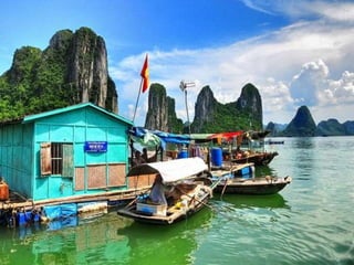 Ha Long Bay Tour