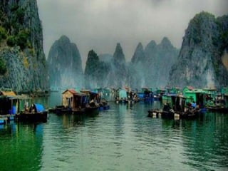 Ha Long Bay Tour