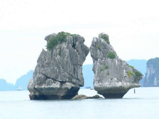 Ha Long Bay Tour