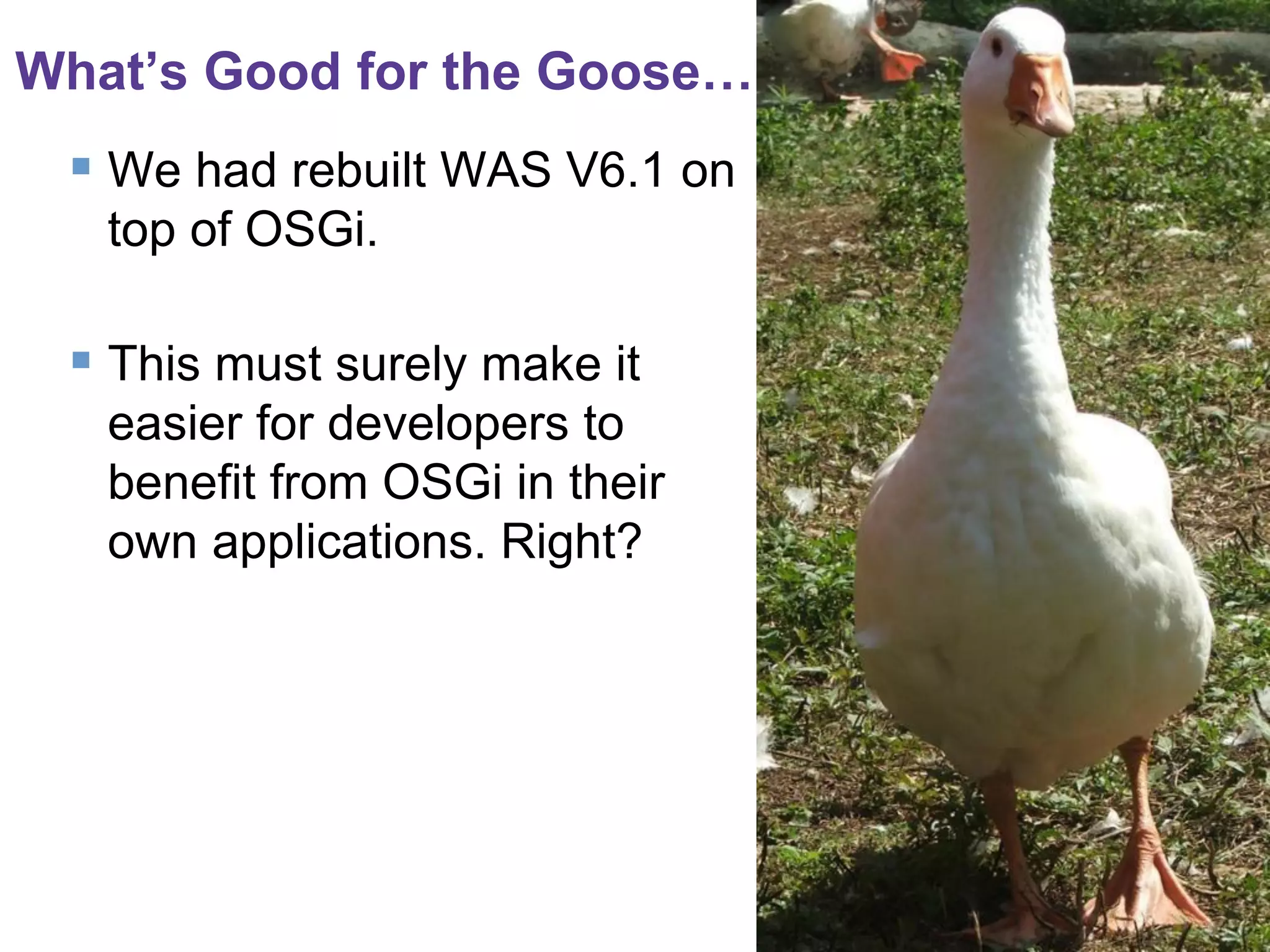 What’s Good for the Goose…

 We had rebuilt WAS V6.1 on
top of OSGi.

 This must surely make it
easier for developers to
benefit from OSGi in their
own applications. Right?

 