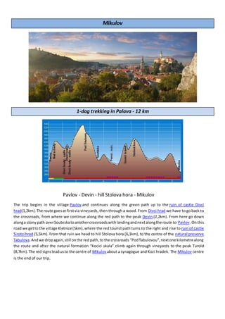 Mikulov
1-dag trekking in Palava - 12 km
Pavlov - Devin - hill Stolova hora - Mikulov
The trip begins in the village Pavlov and continues along the green path up to the ruin of castle Divci
hrad(1,2km).The route goesat firstvia vineyards, then through a wood. From Divci hrad we have to go back to
the crossroads, from where we continue along the red path to the peak Devin (2,2km). From here go down
alonga stonypath overSouteskatoanothercrossroadswithlandingandnextalongthe route to Pavlov. On this
road we getto the village Kletnice (5km),where the red tourist path turns to the right and rise to ruin of castle
Sirotci hrad (5,5km). From that ruin we head to hill Stolova hora (6,1km), to the centre of the natural preserve
Tabulova.Andwe dropagain,still onthe red path,to the crossroads “PodTabulovou”,nextone kilometrealong
the route and after the natural formation “Kocici skala” climb again through vineyards to the peak Turold
(8,7km).The red signsleadusto the centre of Mikulov about a synagogue and Kozi hradek. The Mikulov centre
is the end of our trip.
 
