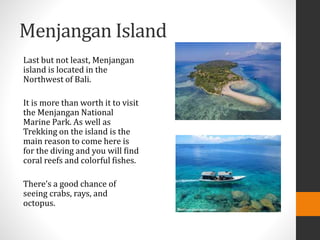 Menjangan Island
Last but not least, Menjangan
island is located in the
Northwest of Bali.
It is more than worth it to visit
the Menjangan National
Marine Park. As well as
Trekking on the island is the
main reason to come here is
for the diving and you will find
coral reefs and colorful fishes.
There’s a good chance of
seeing crabs, rays, and
octopus.
 