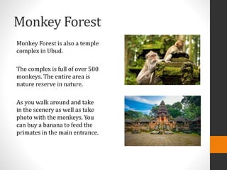 Monkey Forest
Monkey Forest is also a temple
complex in Ubud.
The complex is full of over 500
monkeys. The entire area is
nature reserve in nature.
As you walk around and take
in the scenery as well as take
photo with the monkeys. You
can buy a banana to feed the
primates in the main entrance.
 