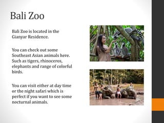 Bali Zoo
Bali Zoo is located in the
Gianyar Residence.
You can check out some
Southeast Asian animals here.
Such as tigers, rhinoceros,
elephants and range of colorful
birds.
You can visit either at day time
or the night safari which is
perfect if you want to see some
nocturnal animals.
 