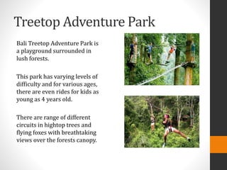 Treetop Adventure Park
Bali Treetop Adventure Park is
a playground surrounded in
lush forests.
This park has varying levels of
difficulty and for various ages,
there are even rides for kids as
young as 4 years old.
There are range of different
circuits in hightop trees and
flying foxes with breathtaking
views over the forests canopy.
 