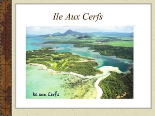 Ile Aux Cerfs
 