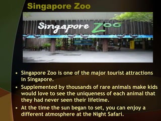 Singapore Zoo
• Singapore Zoo is one of the major tourist attractions
in Singapore.
• Supplemented by thousands of rare animals make kids
would love to see the uniqueness of each animal that
they had never seen their lifetime.
• At the time the sun began to set, you can enjoy a
different atmosphere at the Night Safari.
 
