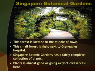 Singapore Botanical Gardens
• This forest is located in the middle of town.
• This small forest is right next to Gleneagles
hospital.
• Singapore Botanic Gardens has a fairly complete
collection of plants.
• Plants is almost gone or going extinct direservasi
here
 