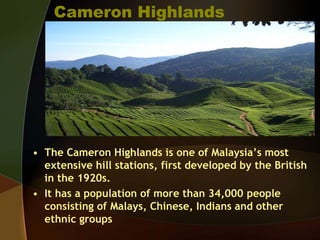 Cameron Highlands
• The Cameron Highlands is one of Malaysia’s most
extensive hill stations, first developed by the British
in the 1920s.
• It has a population of more than 34,000 people
consisting of Malays, Chinese, Indians and other
ethnic groups
 