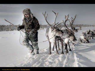The Boy Who Lived on the Tundra. © simon morris.
 
