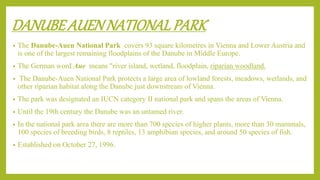 DANUBEAUENNATIONALPARK
• The Danube-Auen National Park covers 93 square kilometres in Vienna and Lower Austria and
is one of the largest remaining floodplains of the Danube in Middle Europe.
• The German word Aue means "river island, wetland, floodplain, riparian woodland.
• The Danube-Auen National Park protects a large area of lowland forests, meadows, wetlands, and
other riparian habitat along the Danube just downstream of Vienna.
• The park was designated an IUCN category II national park and spans the areas of Vienna.
• Until the 19th century the Danube was an untamed river.
• In the national park area there are more than 700 species of higher plants, more than 30 mammals,
100 species of breeding birds, 8 reptiles, 13 amphibian species, and around 50 species of fish.
• Established on October 27, 1996.
 