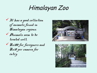 Himalayan Zoo
It has a good collection
of animals found in
Himalayan regions.
Animals seem to be
treated well.
Rs.100 for foreigners and
Rs.10 per camera for
entry.
 