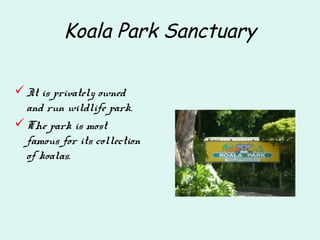 Koala Park Sanctuary
It is privately owned
and run wildlife park.
The park is most
famous for its collection
of koalas.
 
