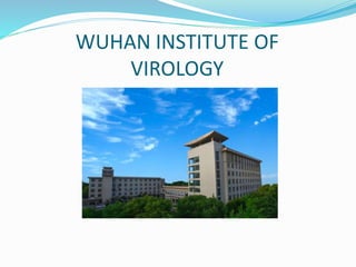 WUHAN INSTITUTE OF
VIROLOGY
 