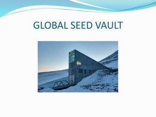 GLOBAL SEED VAULT
 