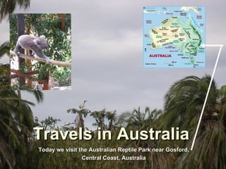 Travels in Australia Today we visit the Australian Reptile Park near Gosford, Central Coast, Australia 