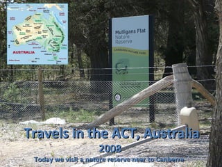 Travels in the ACT, Australia 2008 Today we visit a nature reserve near to Canberra 