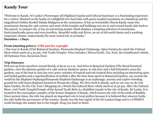 Kandy Tour
"Welcome to Kandy, Sri Lanka’s Picturesque old Highland Capital and Cultural Sanctuary is a Fascinating experience
for a visitor. Situated on the banks of a delightful tree lined lake with green wooded mountains as a backdrop and the
magnificent Golden Roofed Dalada Maligawa as the centerpiece, It has an Irresistible Charm.Kandy came into
prominence during the 14th century and most of the temples and buildings you see in and around kandy date back to
this period. A compact city, it has an interesting market which displays a tempting selection of sweetmeats,
fruits,handicrafts,spices and even jewellery. Beautiful walks and drives, an air of old world charm and a soothing
temperate climate, makes kandy the most visited city in sri lanka."
Duration : 1 Days
From (starting price:) : US$ 220 for 2 people
1 Day tour in Kandy.(Visit Botanical Gardens, Pinnawala Elephant Orphanage, Spice Garden,do watch the Cultural
Show which starts at 4.30 pm, visit Tooth-Temple). Price includes ( Driver/Guide, Tax, Fuel, Air-Conditioned vehicle,
All Entrance Fees, Excursion Fees)
Trip Itinerary
Pick you up from anywhere around Kandy at 8a.m-10 a.m. And drive to Botanical Gardens (The Royal botanical
gardens, once the pleasure garden of a 14th century Kandyan queen, is only four and a half kilometers away,the
gardens, one of the best in Asia has over 4000 varieties of tropical and sub tropical flora including an interesting spice
and herbal garden and a superbcollection of orchids.) after the time been spent in Botanical Gardens, our second site
would be the Elephant Orphange(Pinnawala Elephant Orphanage is an orphanage, nursery and captive breeding
ground for wild Asian elephants located at Pinnawala village. We drive back to Kandy, and on our way we do visit
Spice Garden, Do the City Tour ( Shopping etc.) Watch the Cultural Show which starts at 16.30 pm. After the Cultural
Show, visit Tooth-Temple(Temple of the Sacred Tooth Relic is a Buddhist temple in the city of Kandy, Sri Lanka. It is
located in the royal palace complex of the former Kingdom of Kandy, which houses the relic of the tooth of Buddha.
Since ancient times, the relic has played an important role in local politics because it is believed that whoever holds
the relic holds the governance of the country. Kandy was the last capital of the Sri Lankan kings and is a UNESCO
world heritage site mainly due to the temple. Drop you back in Hotel.
 