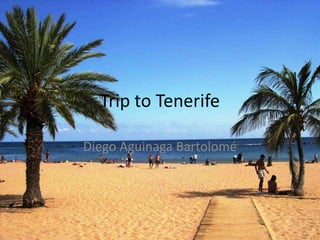 Trip to Tenerife
Diego Aguinaga Bartolomé
 
