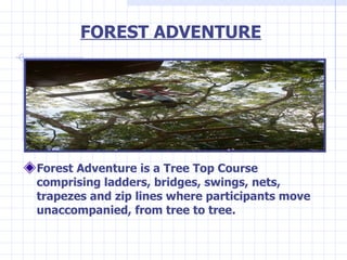 FOREST ADVENTURE <ul><li>Forest Adventure is a Tree Top Course comprising ladders, bridges, swings, nets, trapezes and zip...