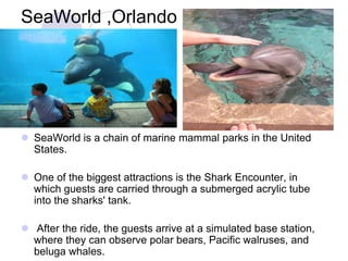 SeaWorld ,Orlando




 SeaWorld is a chain of marine mammal parks in the United
  States.

 One of the biggest attractions is the Shark Encounter, in
  which guests are carried through a submerged acrylic tube
  into the sharks' tank.

 After the ride, the guests arrive at a simulated base station,
  where they can observe polar bears, Pacific walruses, and
  beluga whales.
 