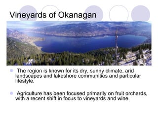 Vineyards of Okanagan




 The region is known for its dry, sunny climate, arid
  landscapes and lakeshore communities and particular
  lifestyle.

 Agriculture has been focused primarily on fruit orchards,
  with a recent shift in focus to vineyards and wine.
 
