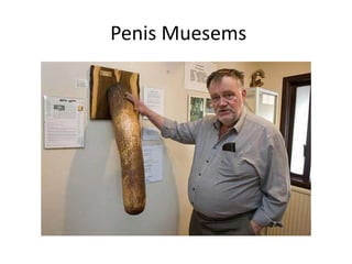  Penis Muesems