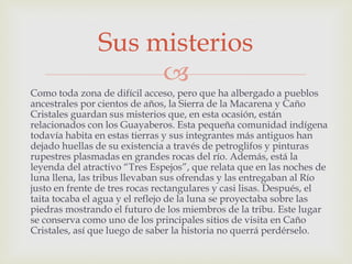 
Como toda zona de difícil acceso, pero que ha albergado a pueblos
ancestrales por cientos de años, la Sierra de la Macarena y Caño
Cristales guardan sus misterios que, en esta ocasión, están
relacionados con los Guayaberos. Esta pequeña comunidad indígena
todavía habita en estas tierras y sus integrantes más antiguos han
dejado huellas de su existencia a través de petroglifos y pinturas
rupestres plasmadas en grandes rocas del río. Además, está la
leyenda del atractivo “Tres Espejos”, que relata que en las noches de
luna llena, las tribus llevaban sus ofrendas y las entregaban al Río
justo en frente de tres rocas rectangulares y casi lisas. Después, el
taita tocaba el agua y el reflejo de la luna se proyectaba sobre las
piedras mostrando el futuro de los miembros de la tribu. Este lugar
se conserva como uno de los principales sitios de visita en Caño
Cristales, así que luego de saber la historia no querrá perdérselo.
Sus misterios
 