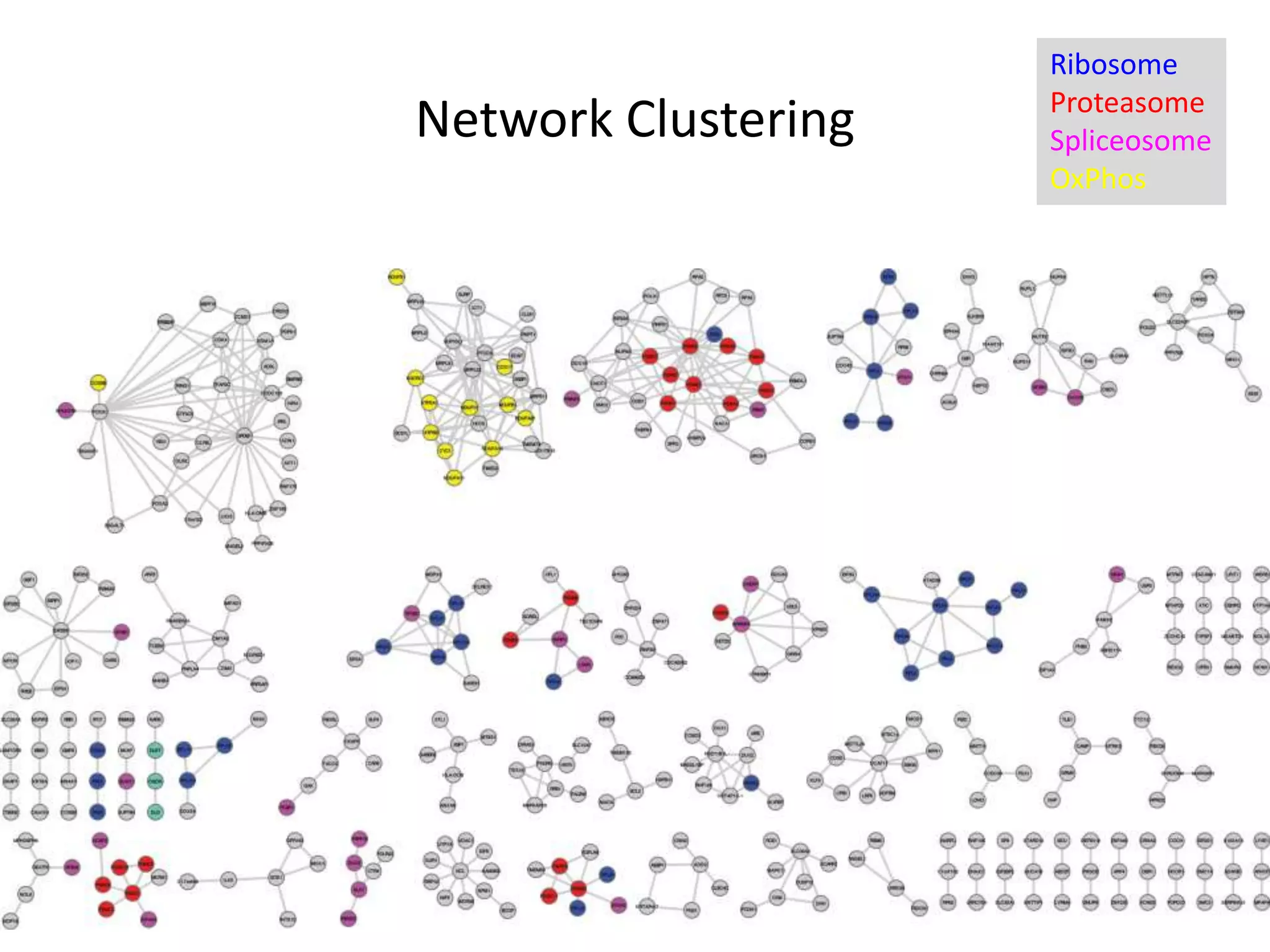 Network Clustering
Ribosome
Proteasome
Spliceosome
OxPhos
 