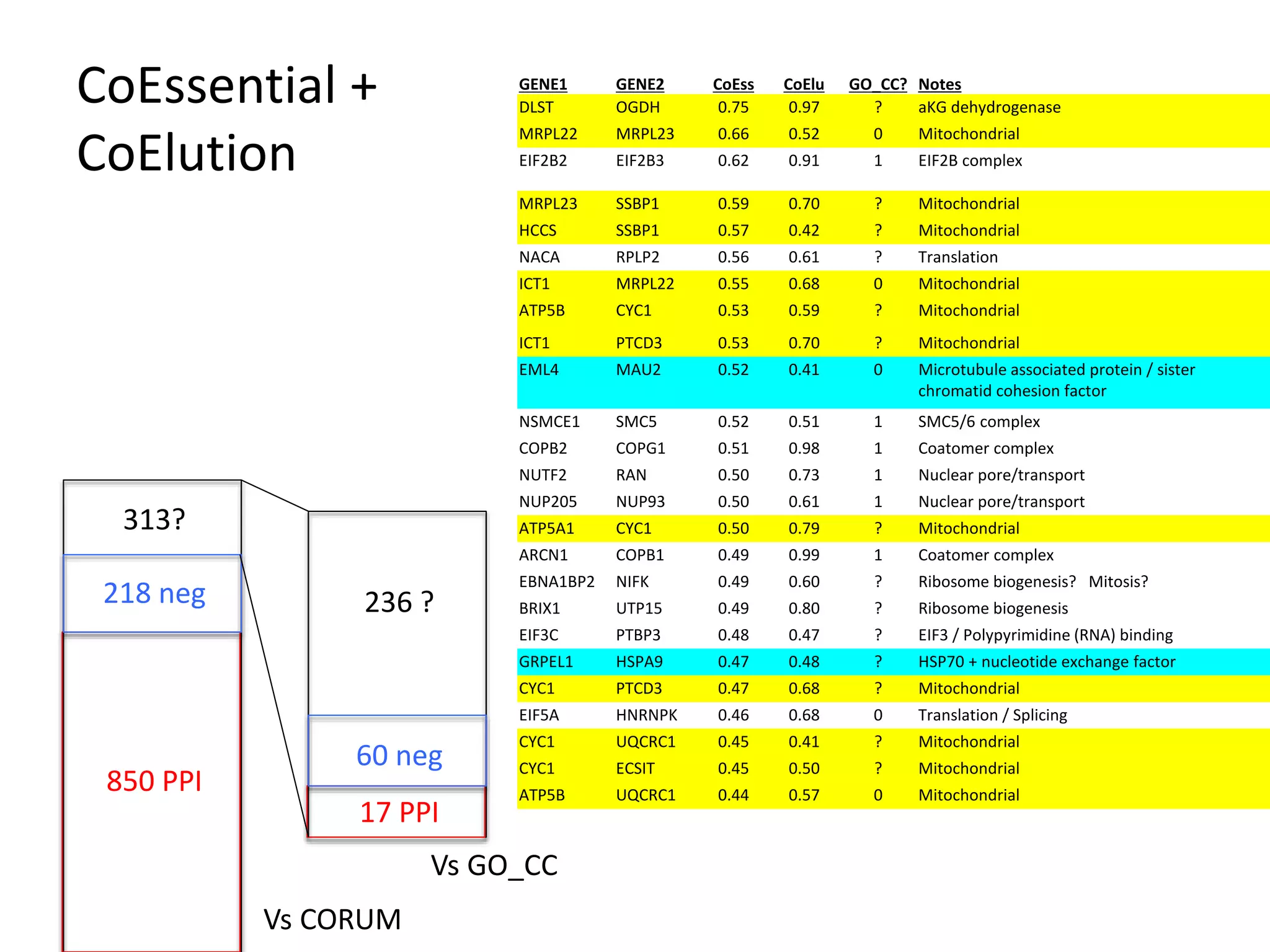 CoEssential +
CoElution
850 PPI
218 neg
313?
17 PPI
60 neg
236 ?
Vs CORUM
Vs GO_CC
GENE1 GENE2 CoEss CoElu GO_CC? Notes
DLST OGDH 0.75 0.97 ? aKG dehydrogenase
MRPL22 MRPL23 0.66 0.52 0 Mitochondrial
EIF2B2 EIF2B3 0.62 0.91 1 EIF2B complex
MRPL23 SSBP1 0.59 0.70 ? Mitochondrial
HCCS SSBP1 0.57 0.42 ? Mitochondrial
NACA RPLP2 0.56 0.61 ? Translation
ICT1 MRPL22 0.55 0.68 0 Mitochondrial
ATP5B CYC1 0.53 0.59 ? Mitochondrial
ICT1 PTCD3 0.53 0.70 ? Mitochondrial
EML4 MAU2 0.52 0.41 0 Microtubule associated protein / sister
chromatid cohesion factor
NSMCE1 SMC5 0.52 0.51 1 SMC5/6 complex
COPB2 COPG1 0.51 0.98 1 Coatomer complex
NUTF2 RAN 0.50 0.73 1 Nuclear pore/transport
NUP205 NUP93 0.50 0.61 1 Nuclear pore/transport
ATP5A1 CYC1 0.50 0.79 ? Mitochondrial
ARCN1 COPB1 0.49 0.99 1 Coatomer complex
EBNA1BP2 NIFK 0.49 0.60 ? Ribosome biogenesis? Mitosis?
BRIX1 UTP15 0.49 0.80 ? Ribosome biogenesis
EIF3C PTBP3 0.48 0.47 ? EIF3 / Polypyrimidine (RNA) binding
GRPEL1 HSPA9 0.47 0.48 ? HSP70 + nucleotide exchange factor
CYC1 PTCD3 0.47 0.68 ? Mitochondrial
EIF5A HNRNPK 0.46 0.68 0 Translation / Splicing
CYC1 UQCRC1 0.45 0.41 ? Mitochondrial
CYC1 ECSIT 0.45 0.50 ? Mitochondrial
ATP5B UQCRC1 0.44 0.57 0 Mitochondrial
 