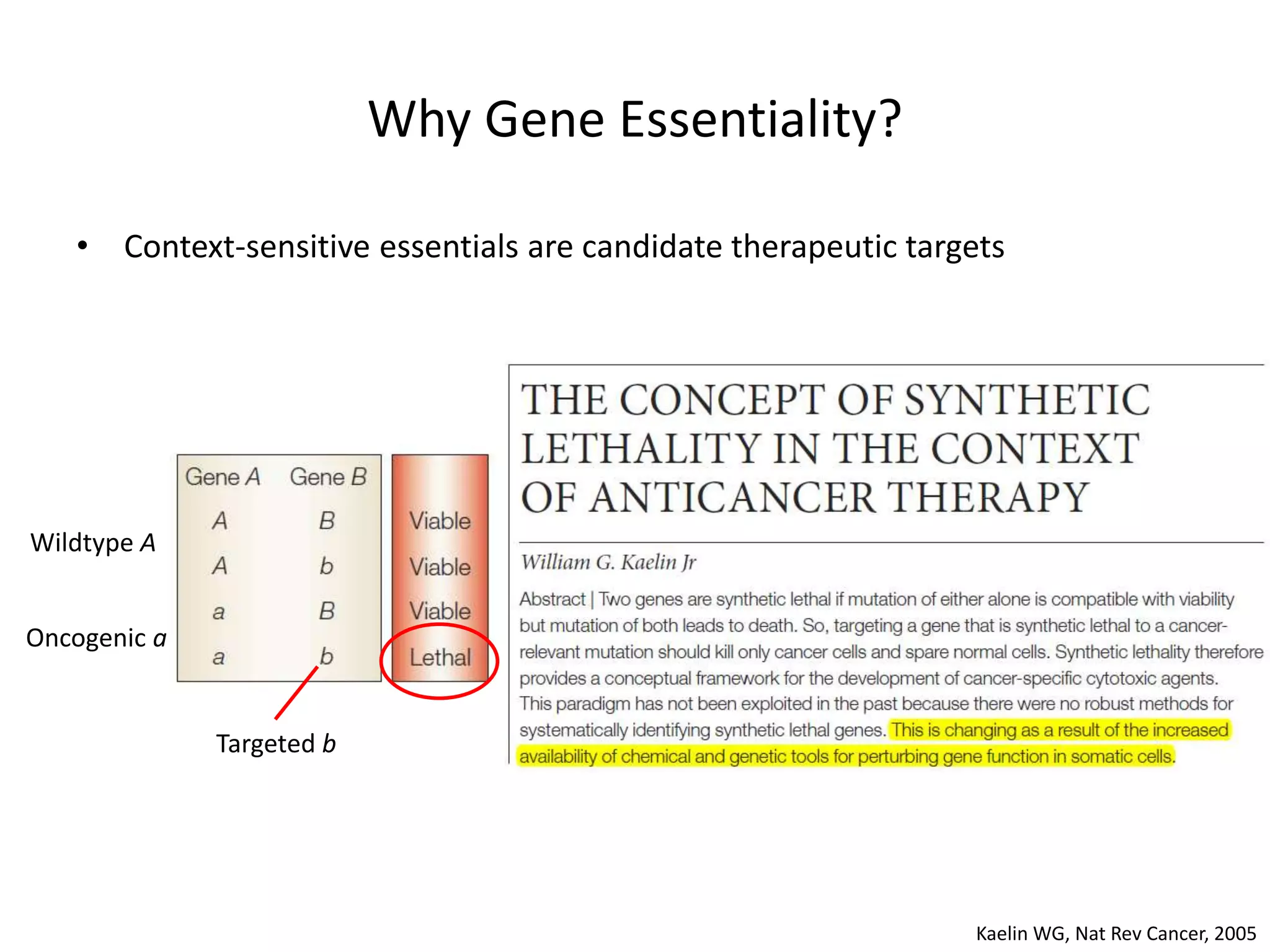 Why Gene Essentiality?
• Context-sensitive essentials are candidate therapeutic targets
Kaelin WG, Nat Rev Cancer, 2005
Wildtype A
Oncogenic a
Targeted b
 