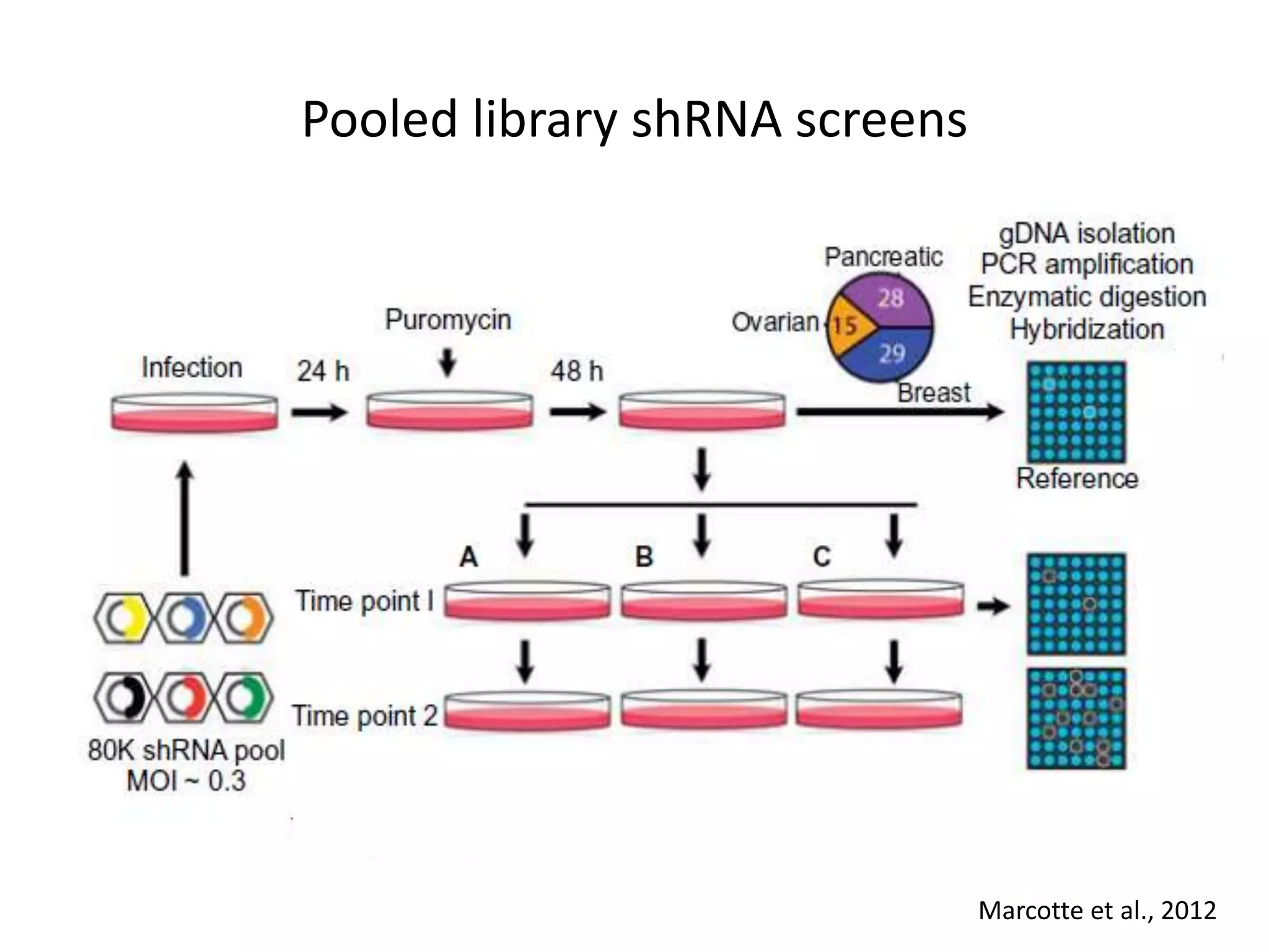 Pooled library shRNA screens
Marcotte et al., 2012
 
