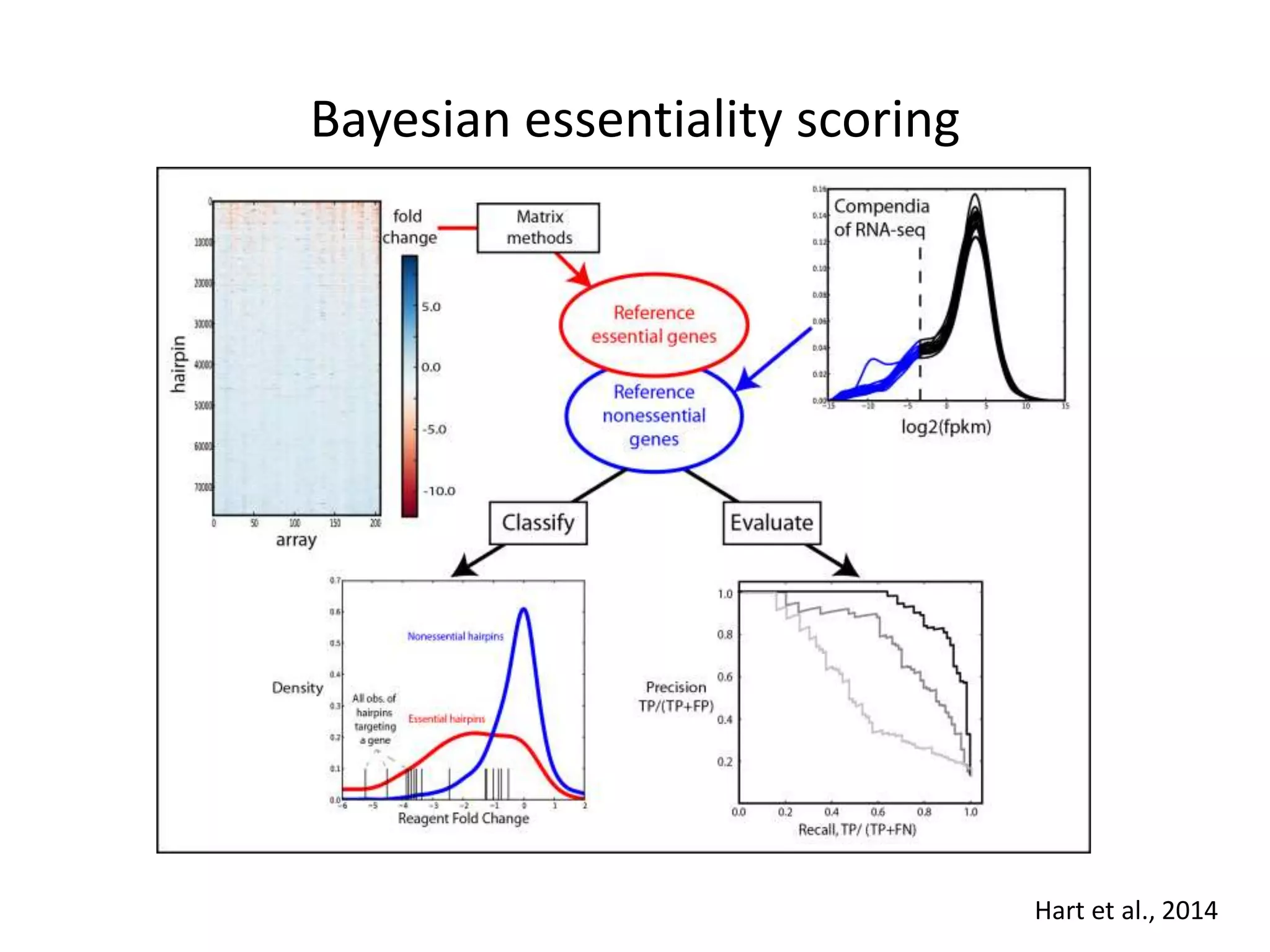 Bayesian essentiality scoring
Hart et al., 2014
 