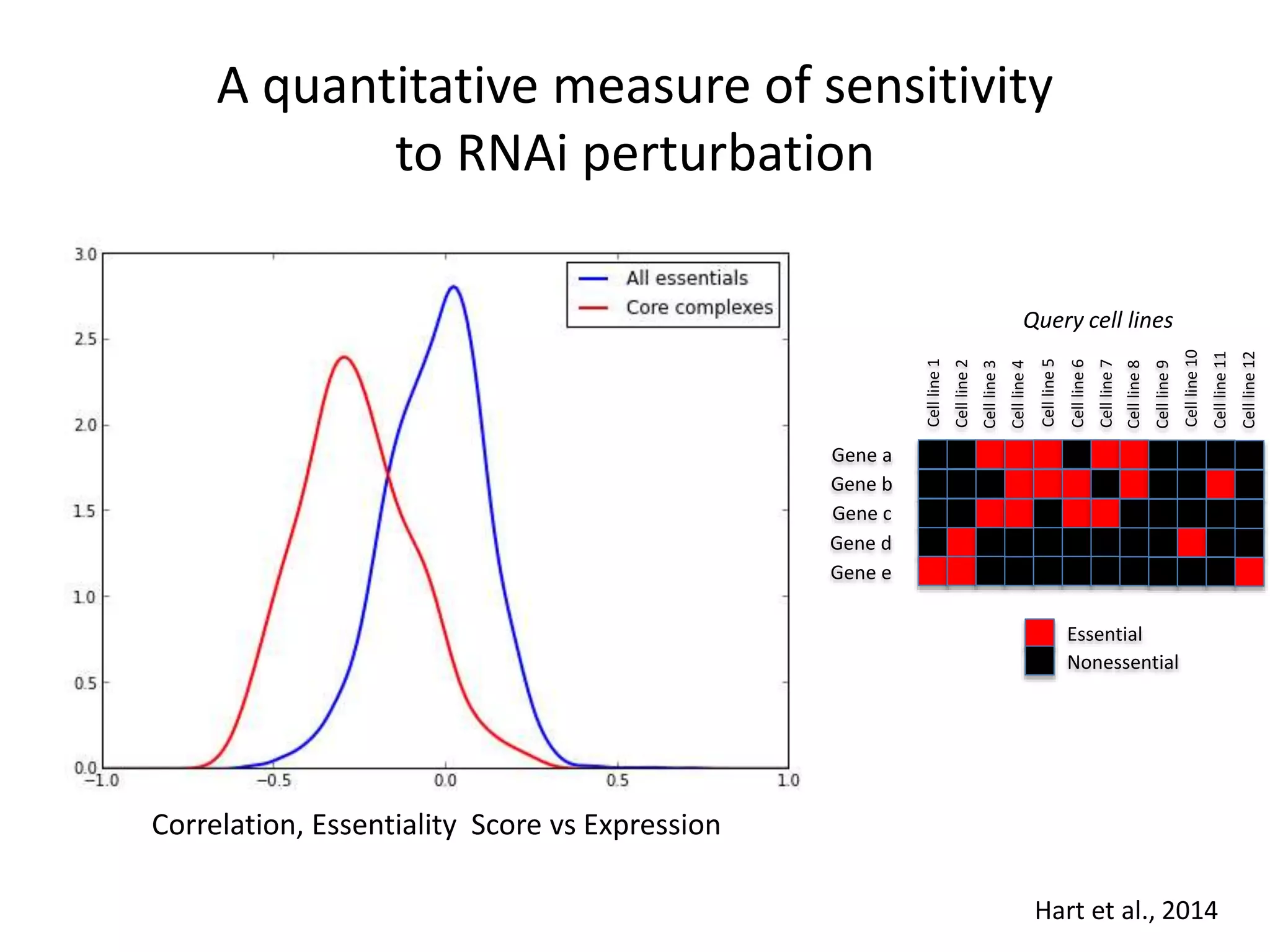 A quantitative measure of sensitivity
to RNAi perturbation
Correlation, Essentiality Score vs Expression
Density
Gene a
Gene b
Gene c
Gene d
Gene e
Cellline1
Cellline2
Cellline3
Cellline4
Cellline5
Cellline12
Cellline6
Cellline7
Cellline8
Cellline9
Cellline10
Cellline11
Essential
Nonessential
Query cell lines
Hart et al., 2014
 