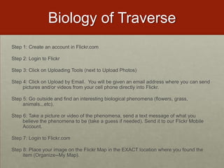 Biology of TraverseStep 1: Create an account in Flickr.comStep 2: Login to FlickrStep 3: Click on Uploading Tools (next to Upload Photos)Step 4: Click on Upload by Email.  You will be given an email address where you can send pictures and/or videos from your cell phone directly into Flickr.Step 5: Go outside and find an interesting biological phenomena (flowers, grass, animals...etc).Step 6: Take a picture or video of the phenomena, send a text message of what you believe the phenomena to be (take a guess if needed). Send it to our Flickr Mobile Account.Step 7: Login to Flickr.comStep 8: Place your image on the Flickr Map in the EXACT location where you found the item (Organize--My Map).