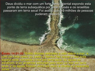 Deus dividiu o mar com um forte vento oriental expondo estaDeus dividiu o mar com um forte vento oriental expondo esta
ponte de terra subaquática por onde Moisés e os israelitasponte de terra subaquática por onde Moisés e os israelitas
passaram em terra seca! Foi assim que 2-3 milhões de pessoaspassaram em terra seca! Foi assim que 2-3 milhões de pessoas
puderam passá-lo!puderam passá-lo!
Êxodo 14:21-22Êxodo 14:21-22 “Então Moisés estendeu a mão sobre o mar; e,“Então Moisés estendeu a mão sobre o mar; e,
com um forte vento do Leste, o Senhor fez recuar o mar todacom um forte vento do Leste, o Senhor fez recuar o mar toda
aquela noite, tornando o mar em terra seca. As águas seaquela noite, tornando o mar em terra seca. As águas se
dividiram, e os israelitas entraram pelo meio do mar em terradividiram, e os israelitas entraram pelo meio do mar em terra
seca; e as águas ficaram como um muro à direita e à esquerdaseca; e as águas ficaram como um muro à direita e à esquerda
deles.”deles.”
 
